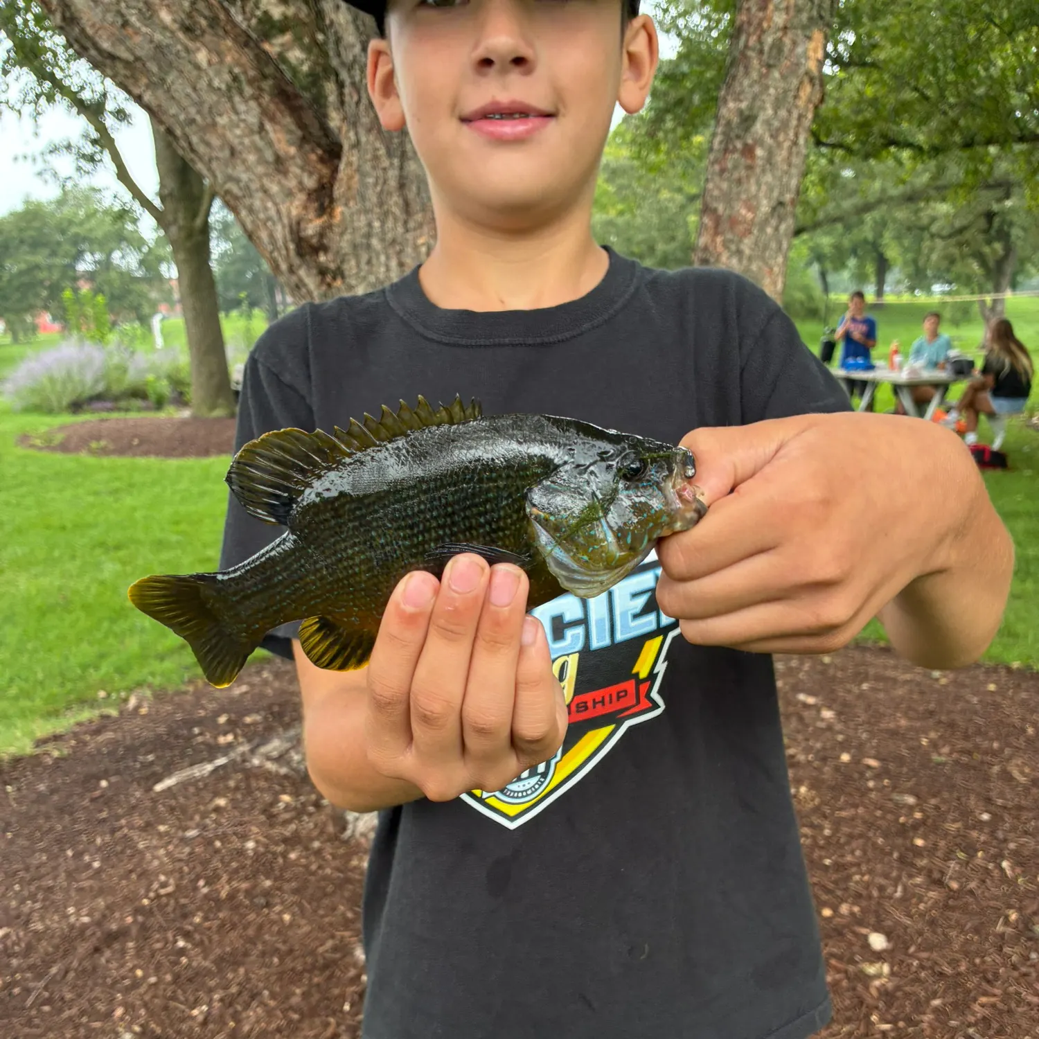 Greengill hybrid caught on Fishbrain