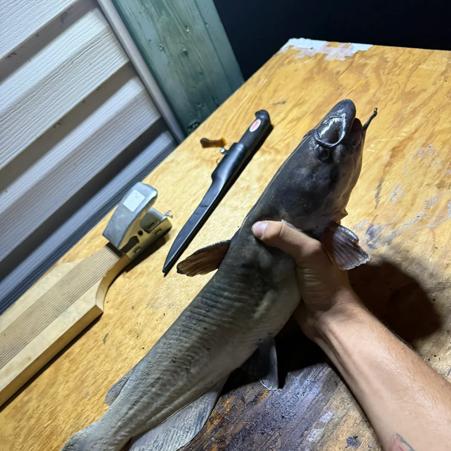 catch