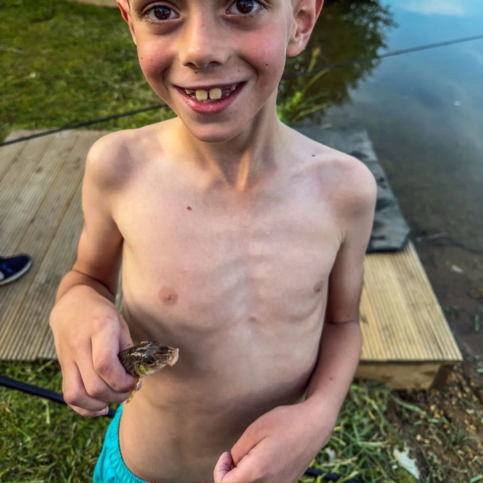 The most recent Gudgeon catches on Fishbrain