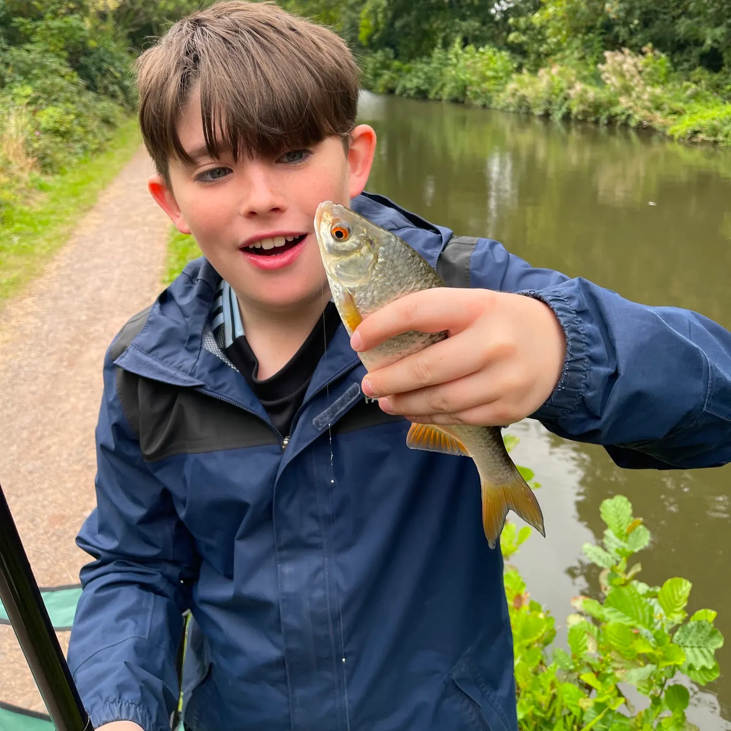 Common roach caught on Fishbrain
