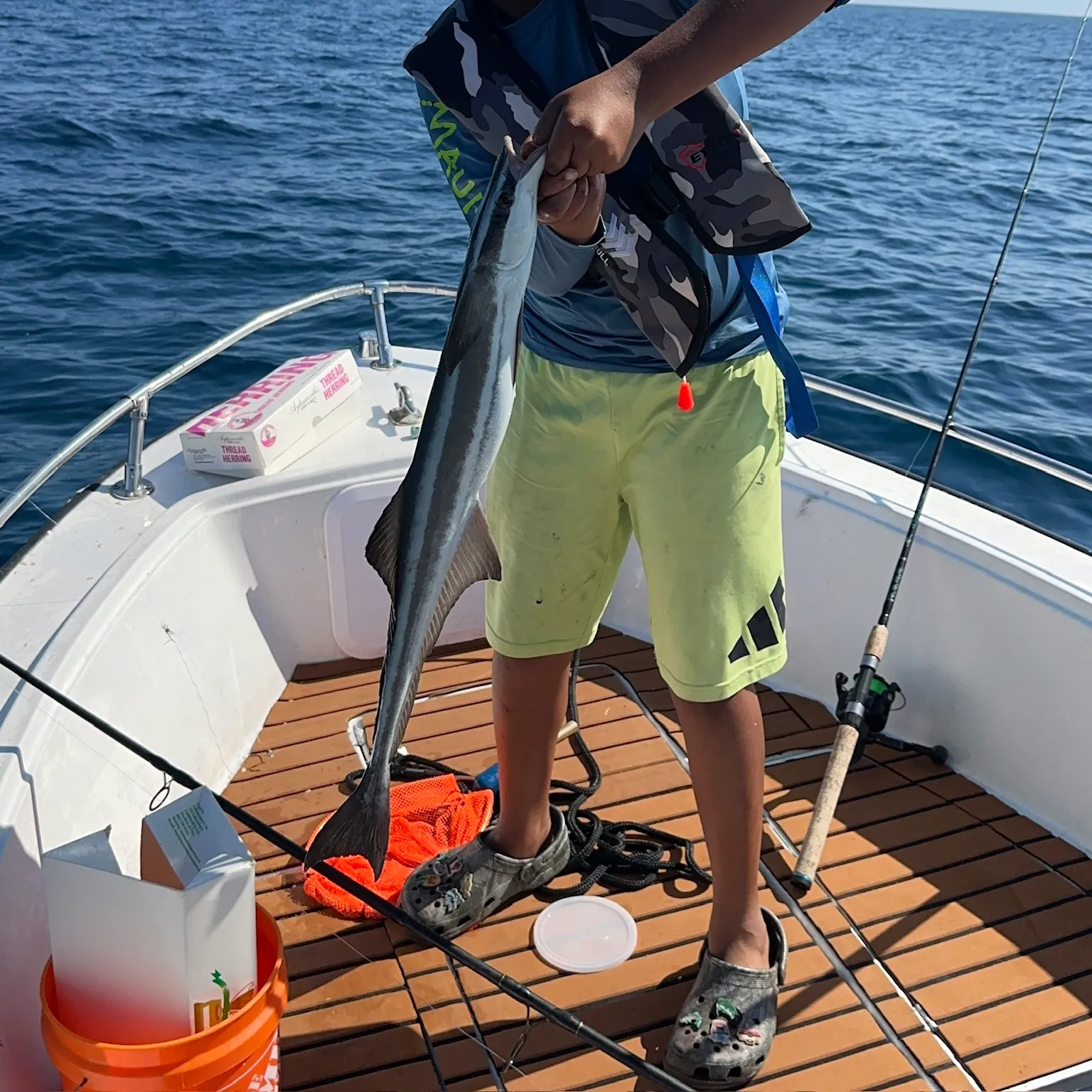 Cobia caught on Fishbrain