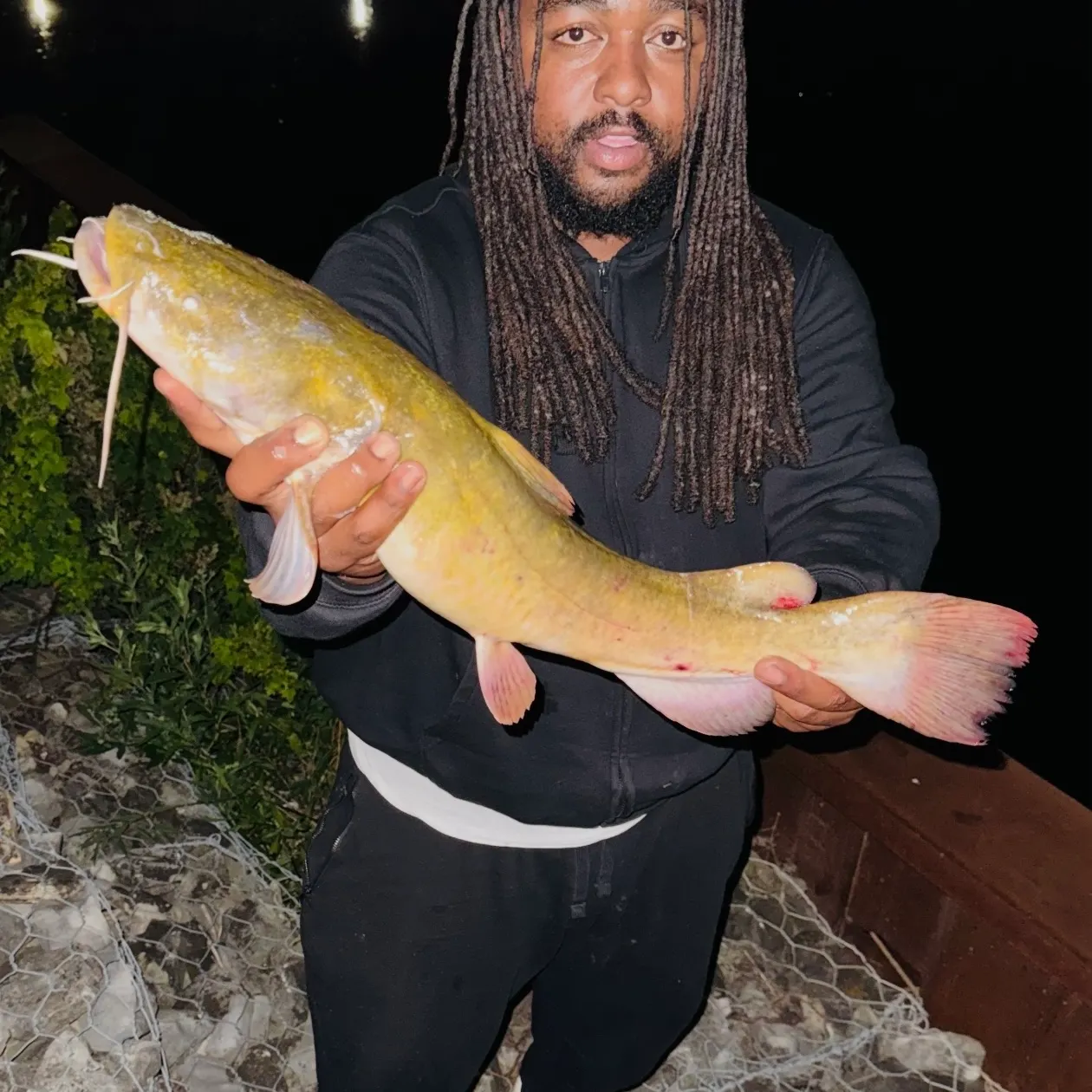 Flathead catfish caught on Fishbrain
