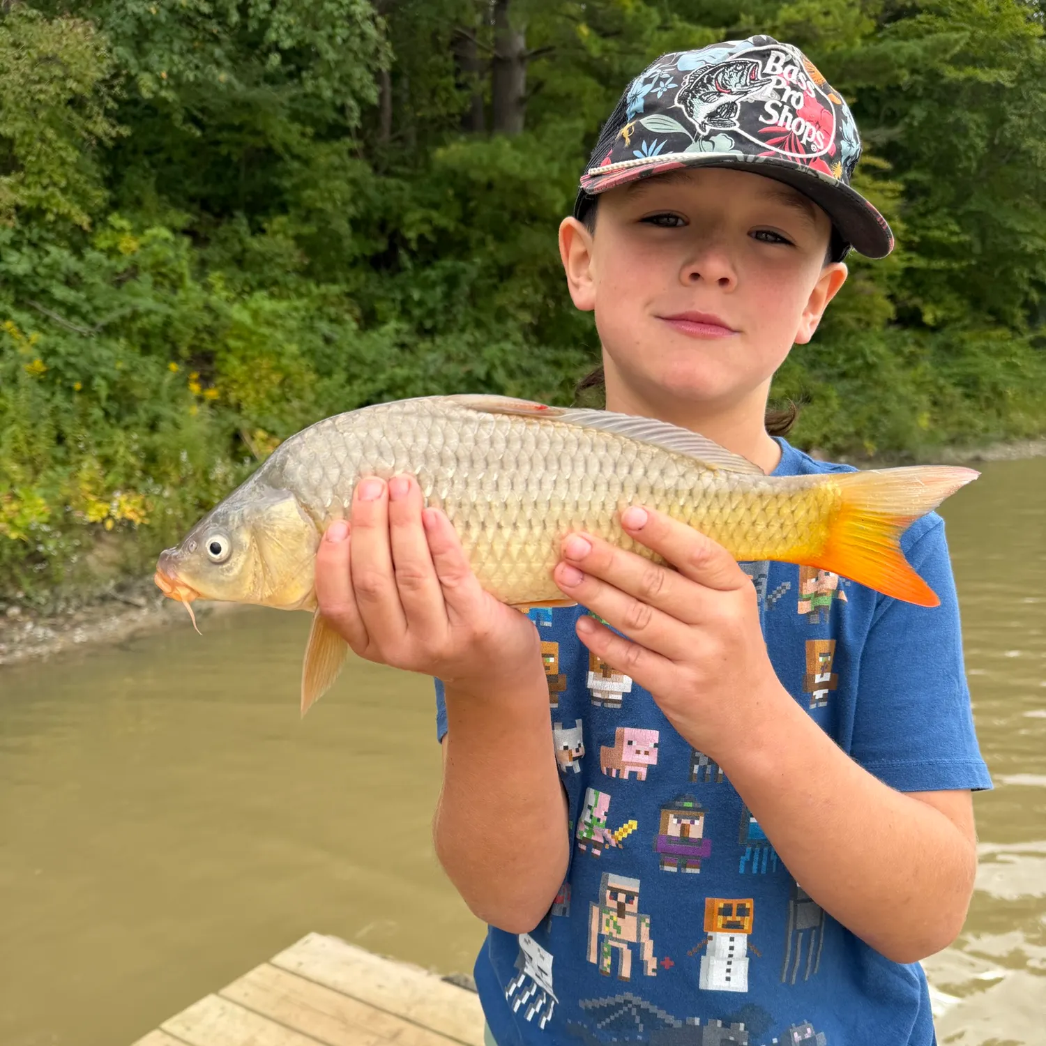 Common carp caught on Fishbrain