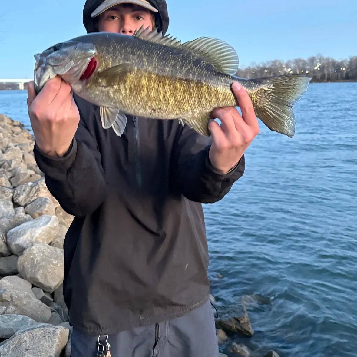 The most recent Smallmouth bass catches on Fishbrain
