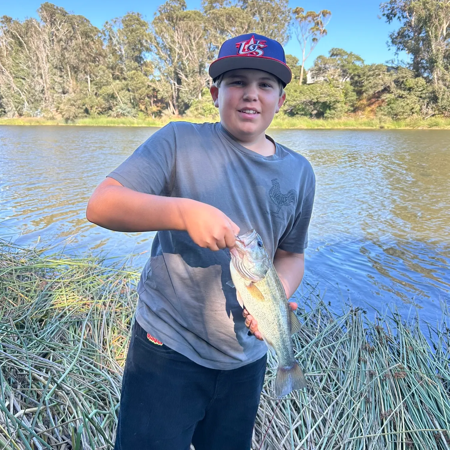 Largemouth bass caught on Fishbrain