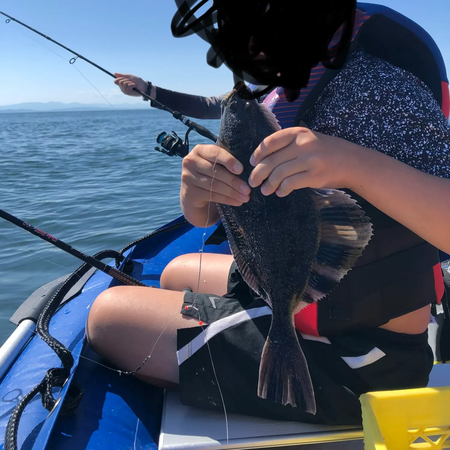 Starry flounder caught on Fishbrain