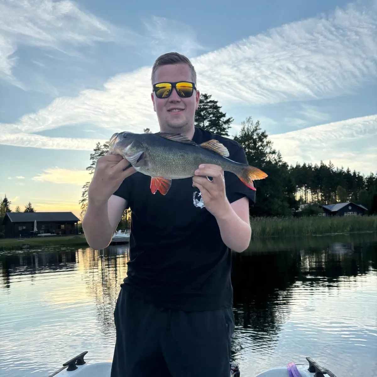 European perch caught on Fishbrain