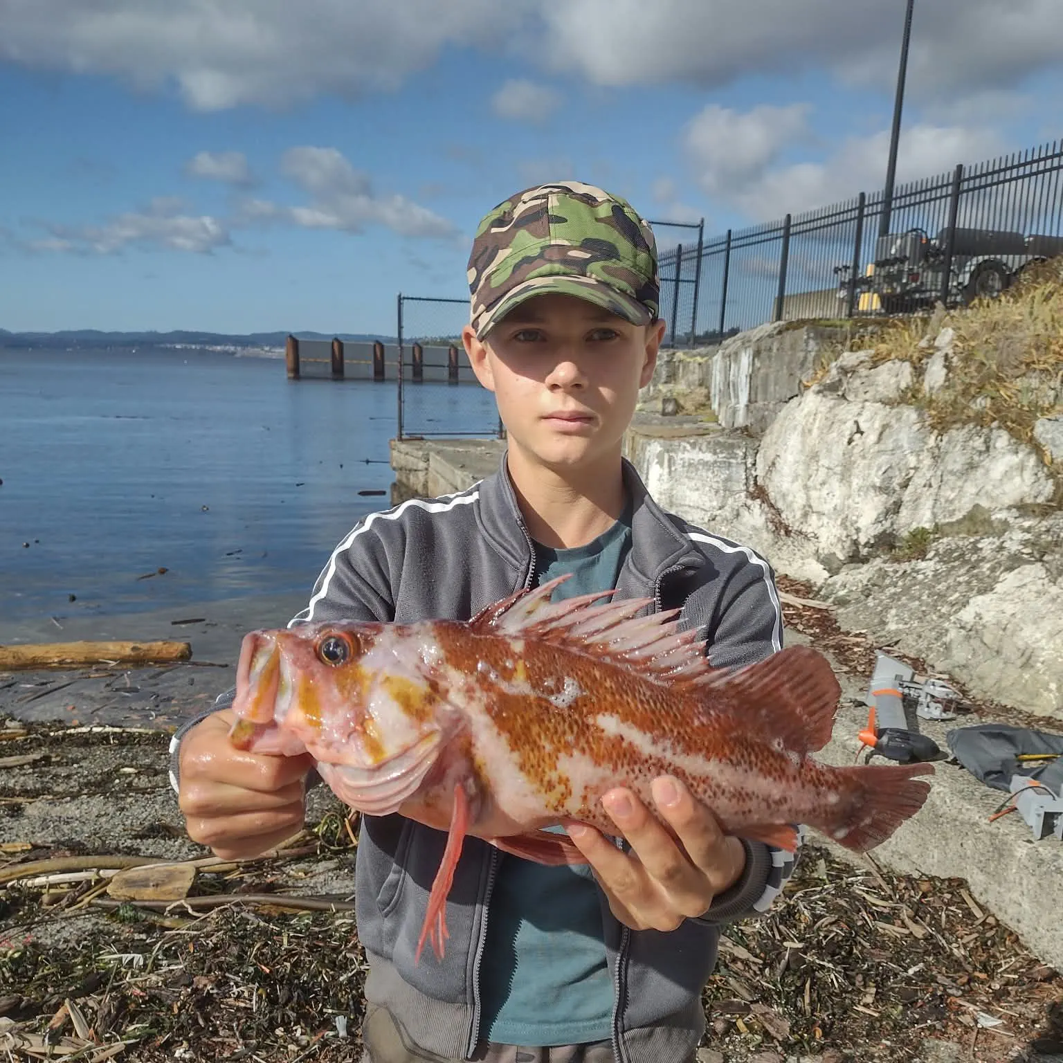 Copper rockfish caught on Fishbrain