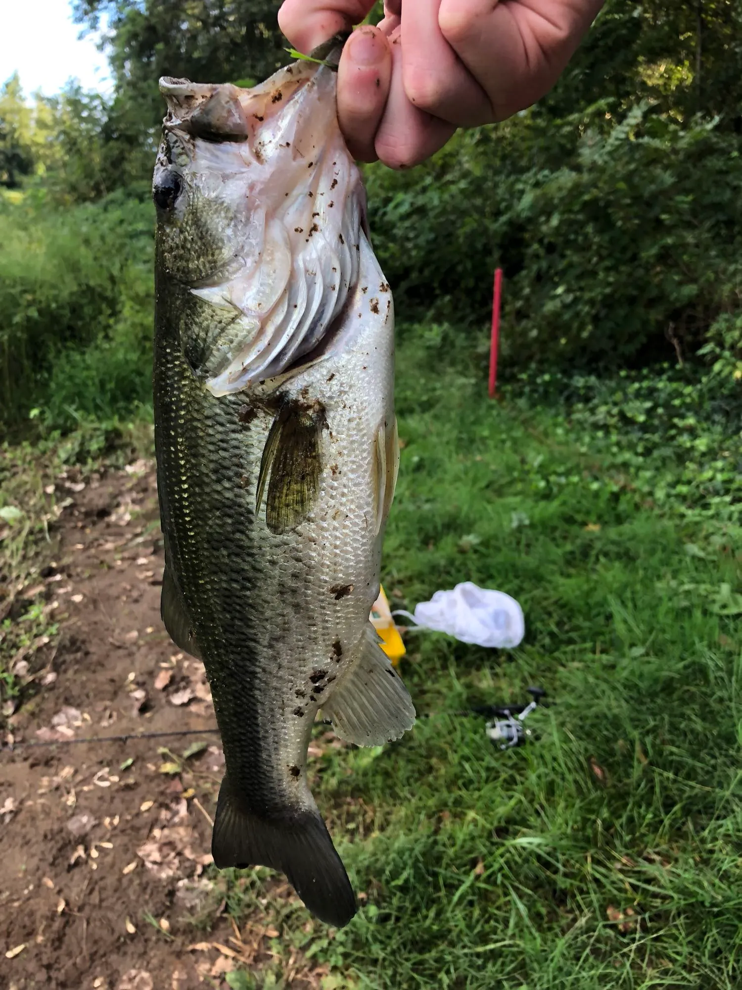 Post image from Obxfisherdude