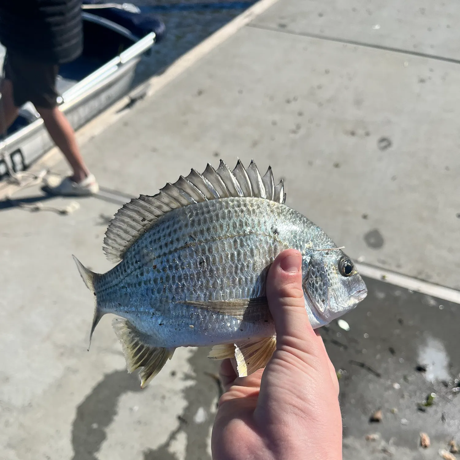 catch
