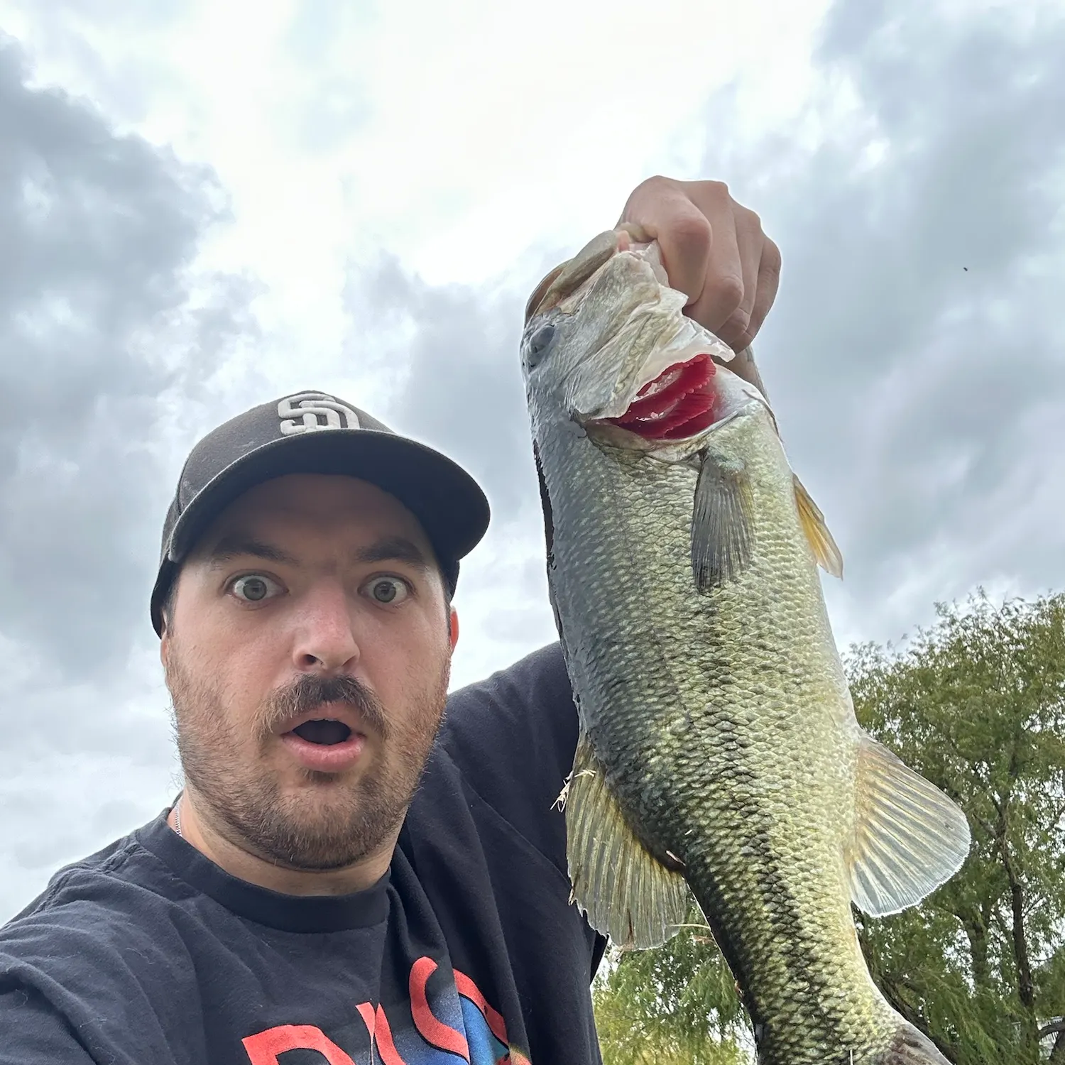 Largemouth bass caught on Fishbrain
