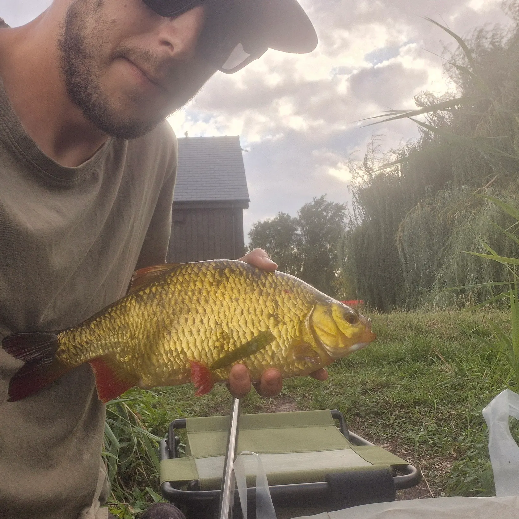 Common rudd caught on Fishbrain