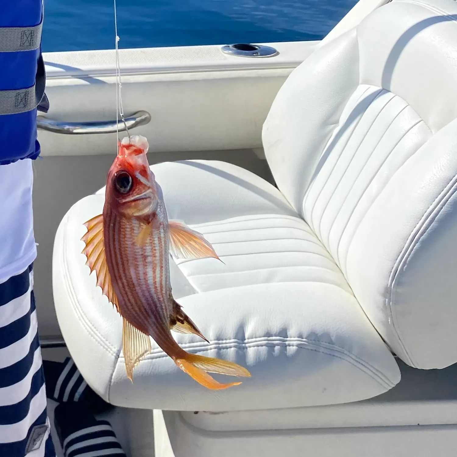 Common squirrelfish caught on Fishbrain