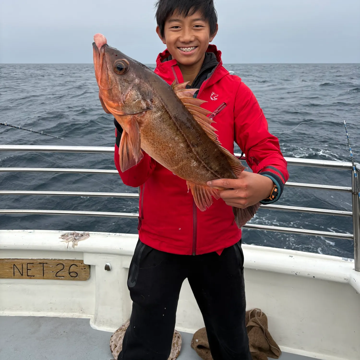 The most recent Bocaccio rockfish catches on Fishbrain
