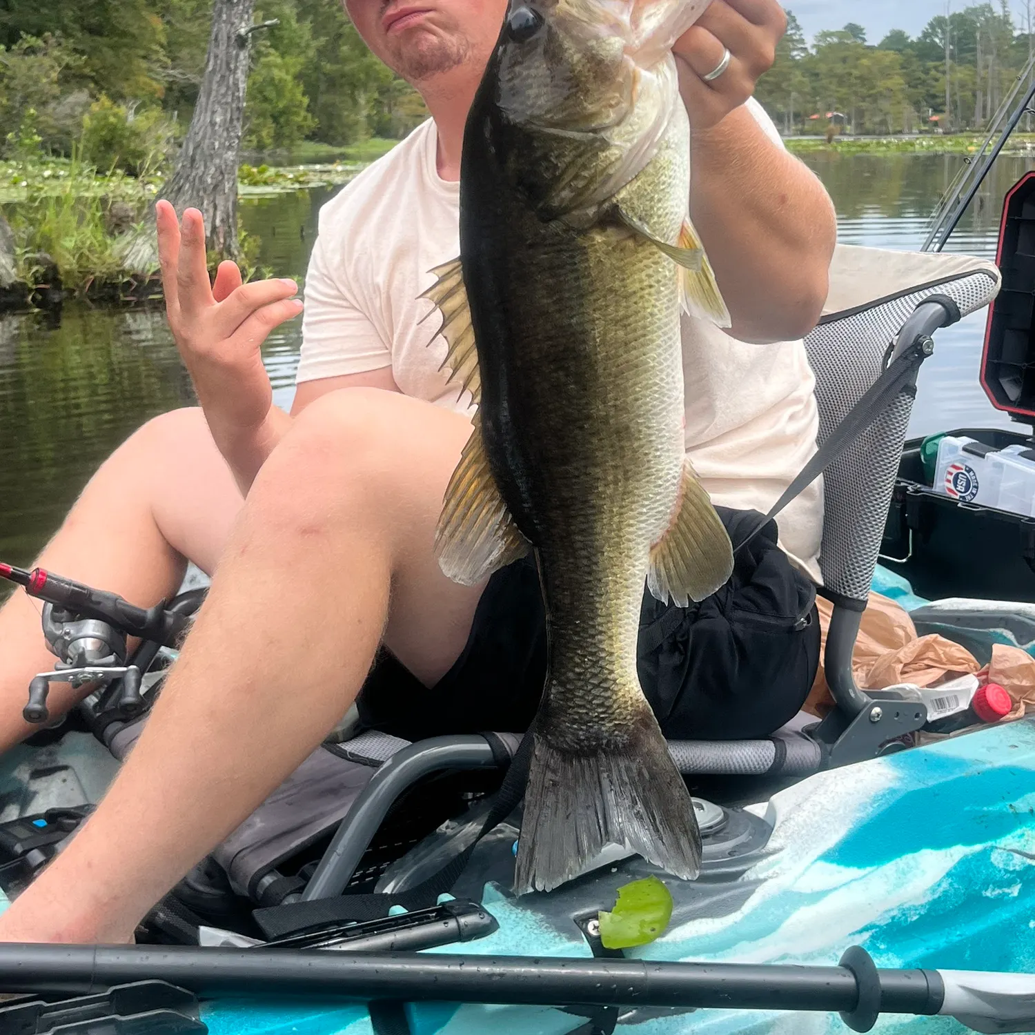 Largemouth bass caught on Fishbrain