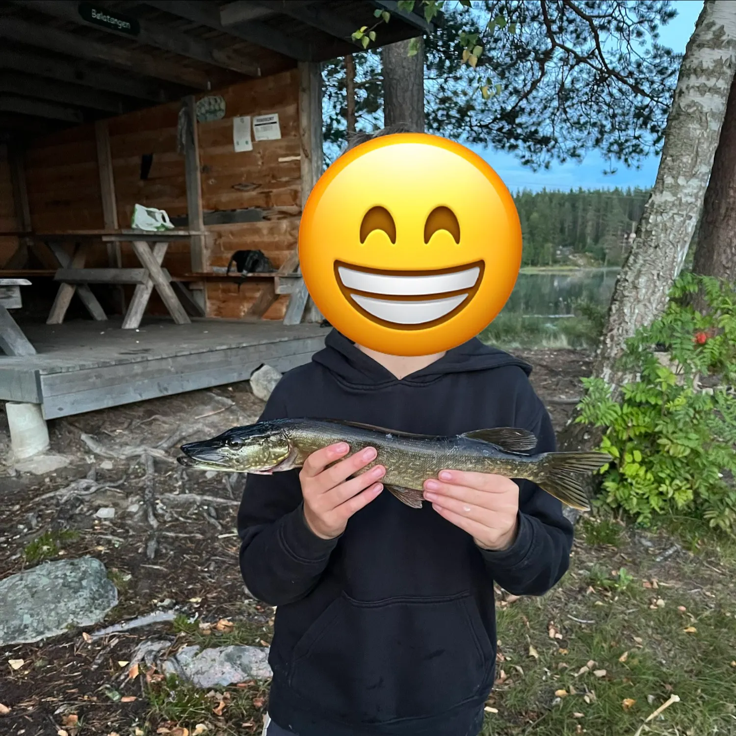 Northern pike caught on Fishbrain