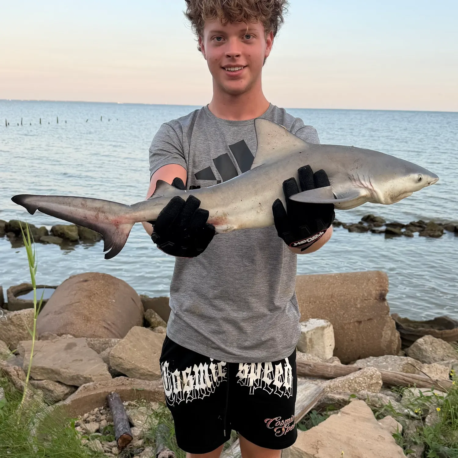 Bull shark caught on Fishbrain