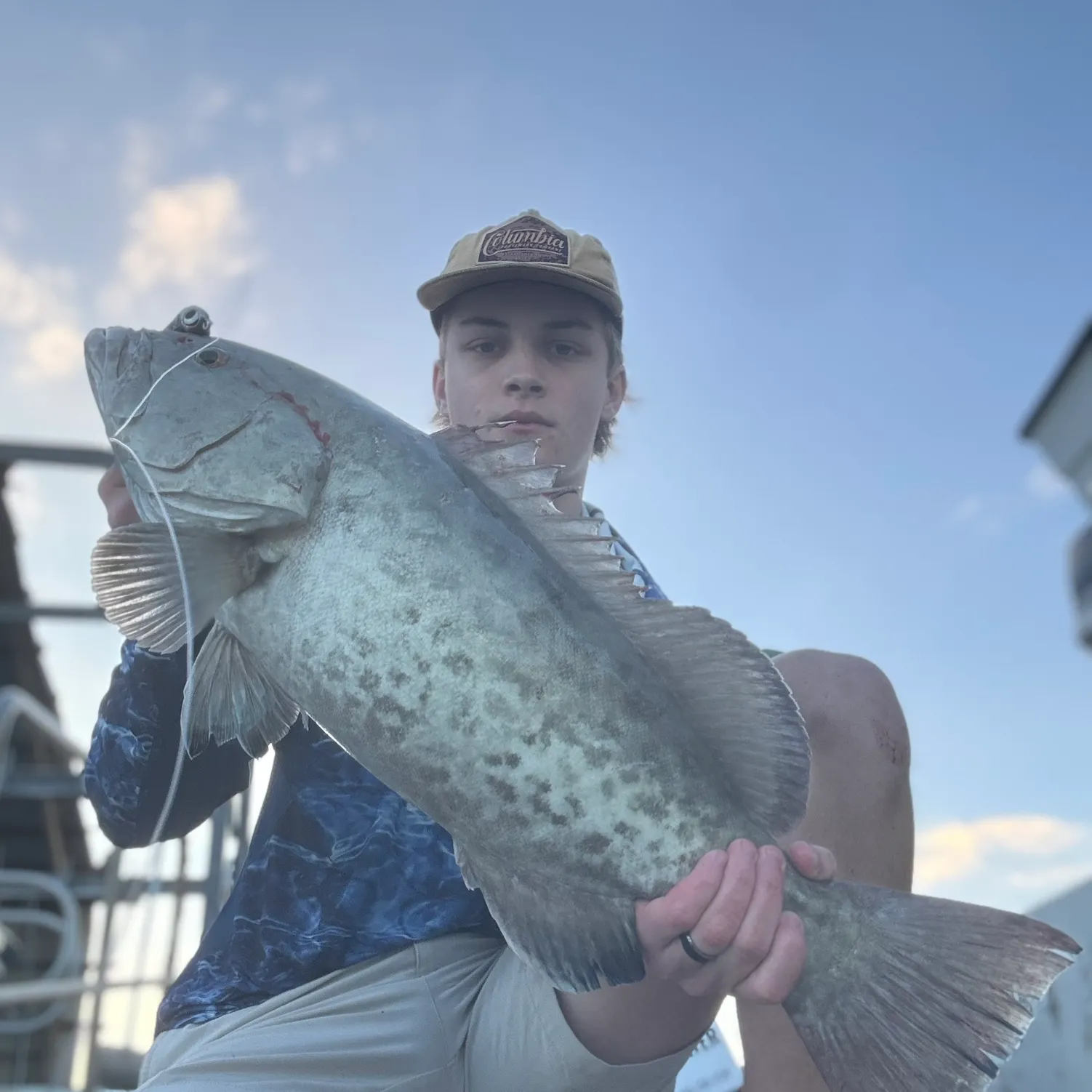 The most recent Gag grouper catches on Fishbrain