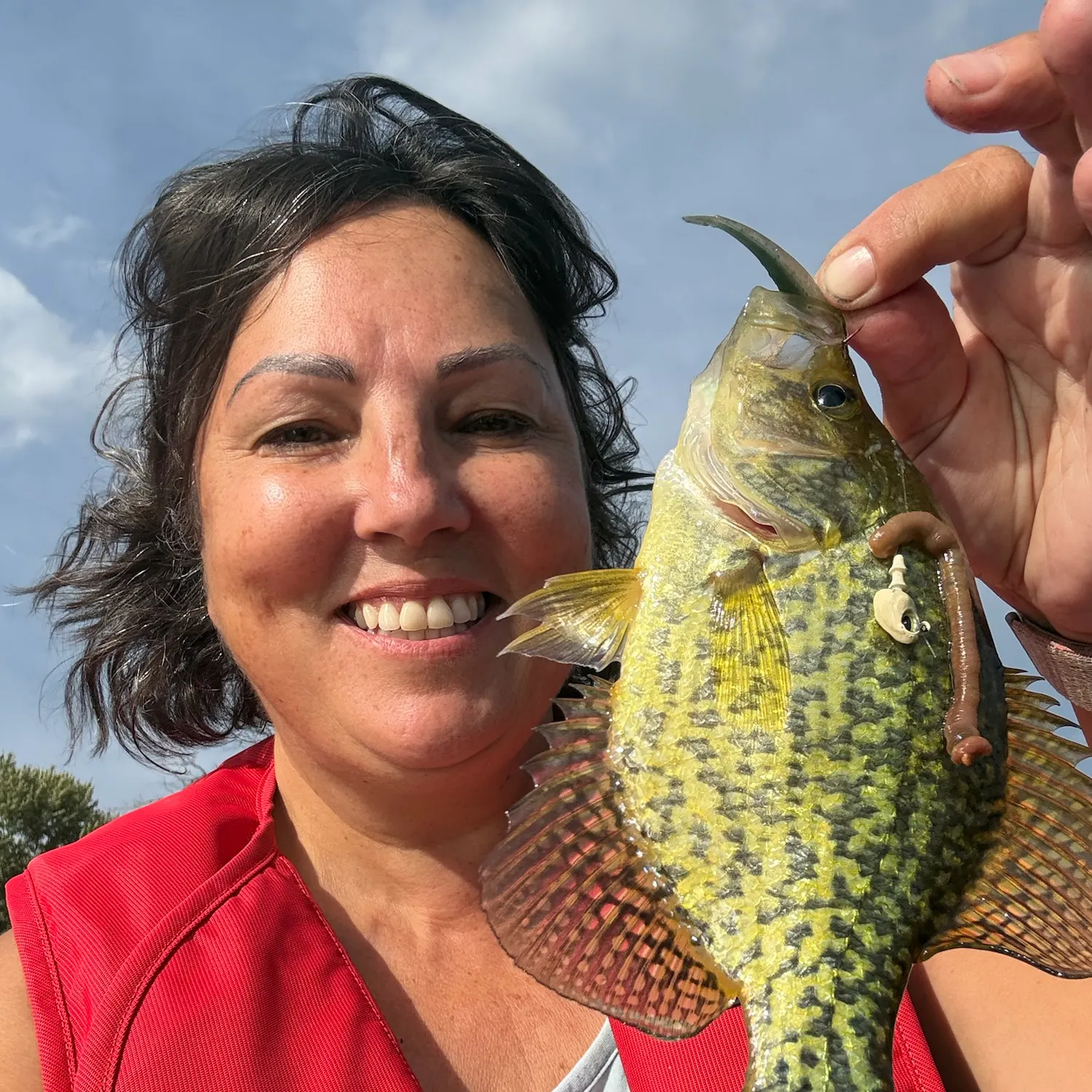 Black crappie caught on Fishbrain