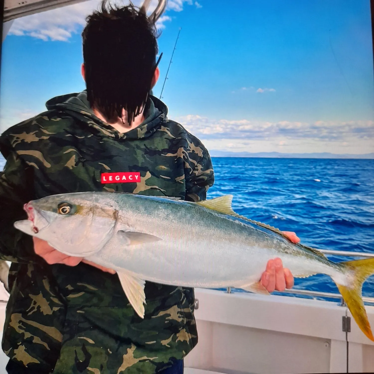 Southern yellowtail amberjack caught on Fishbrain