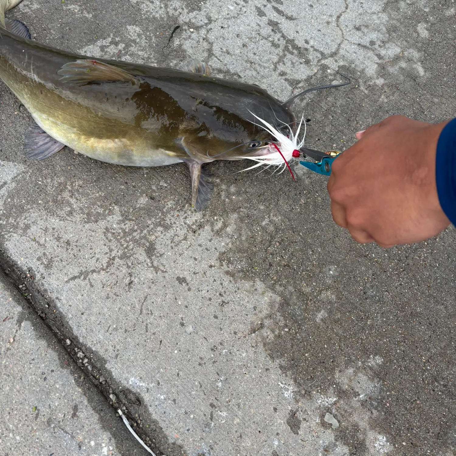 catch