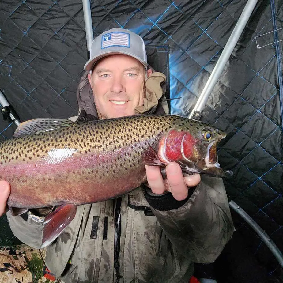 The most recent Cutbow catches on Fishbrain