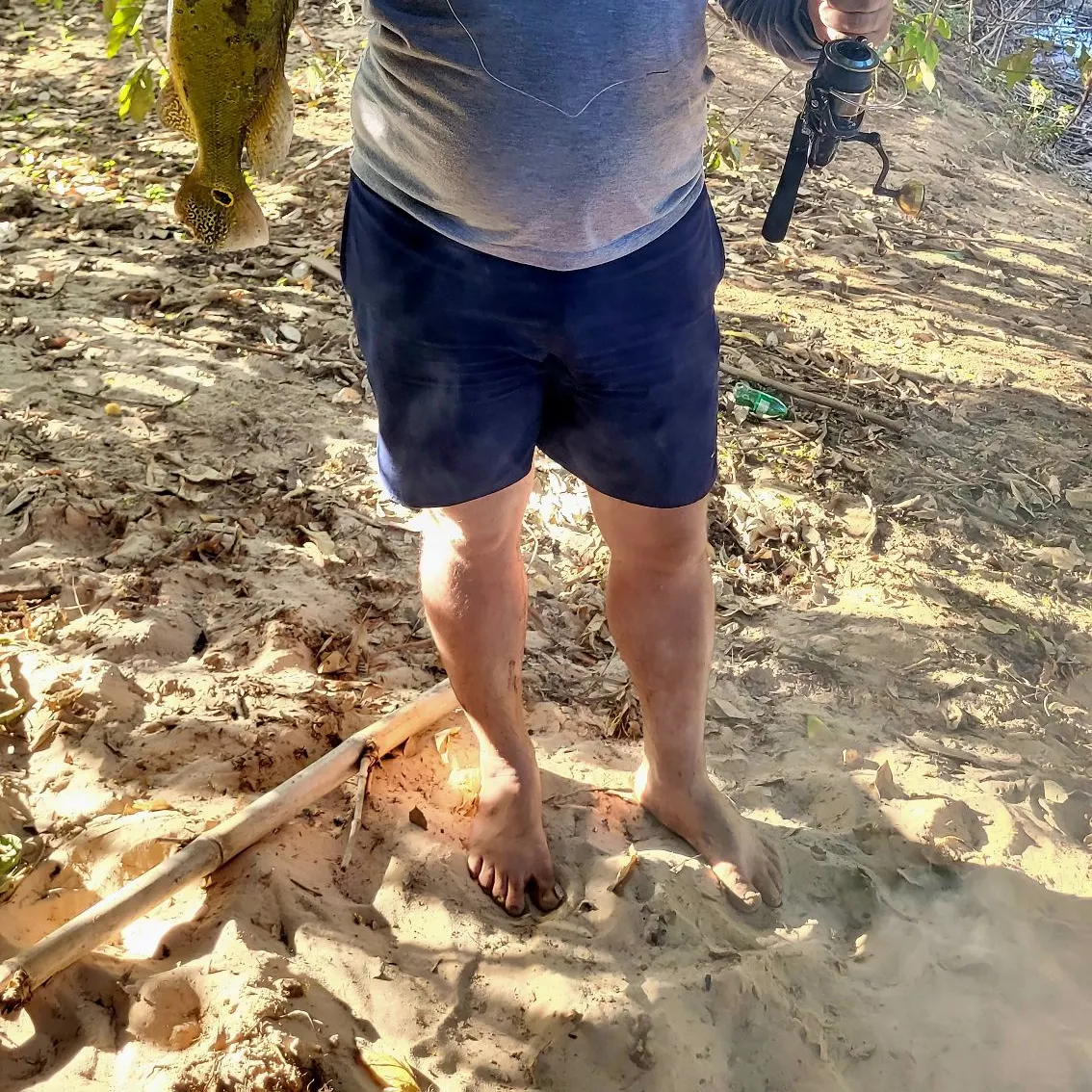 Butterfly peacock bass caught on Fishbrain