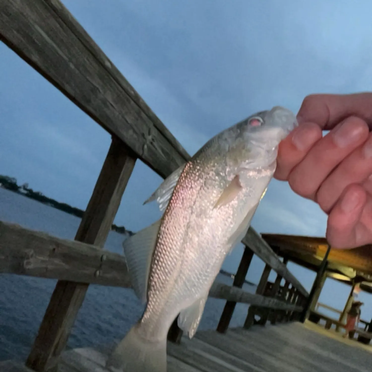 most liked catch image