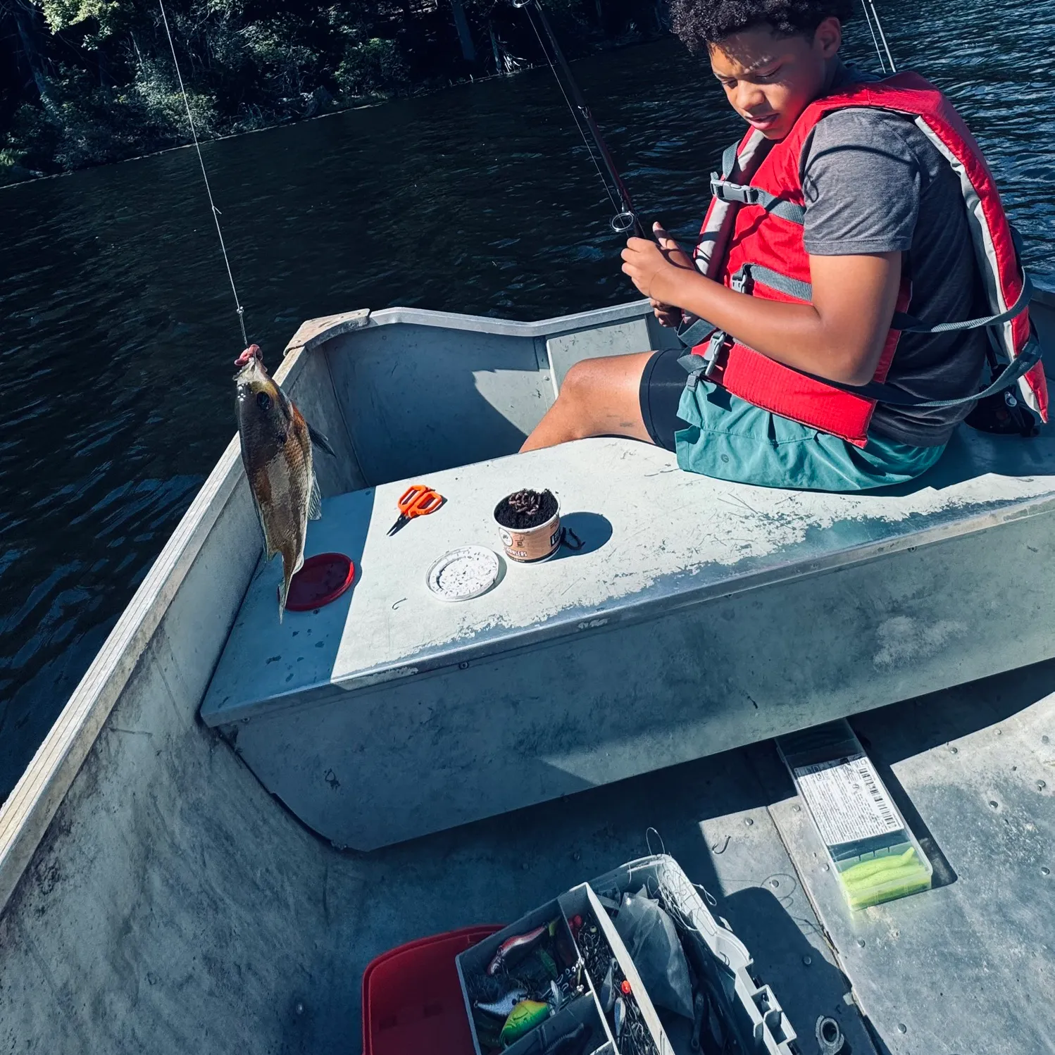 Bluegill caught on Fishbrain