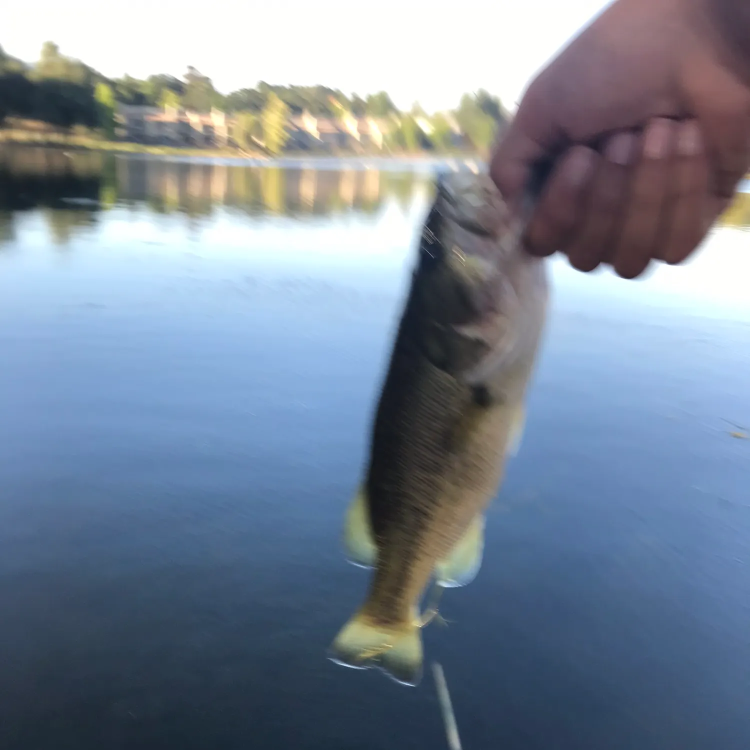 angler catch