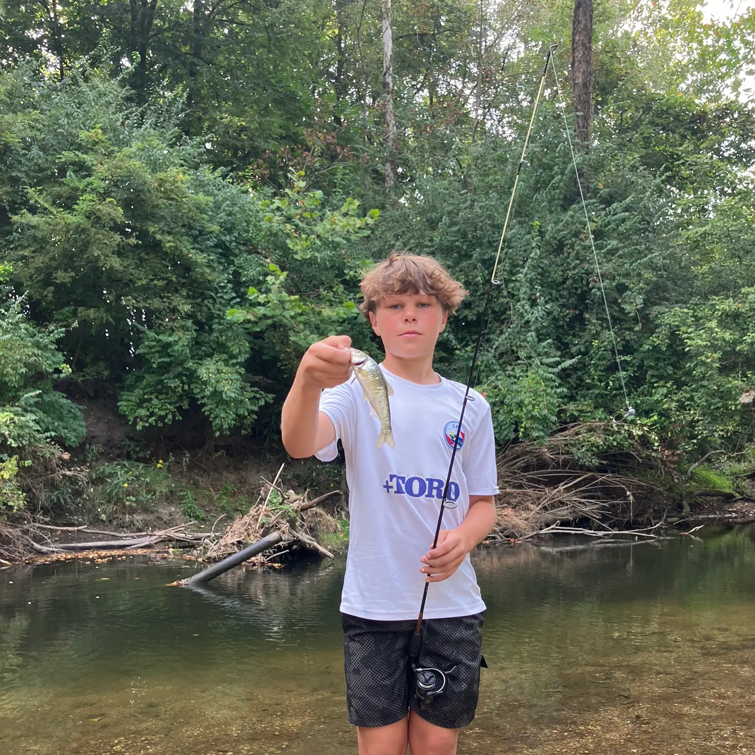 Creek chub caught on Fishbrain
