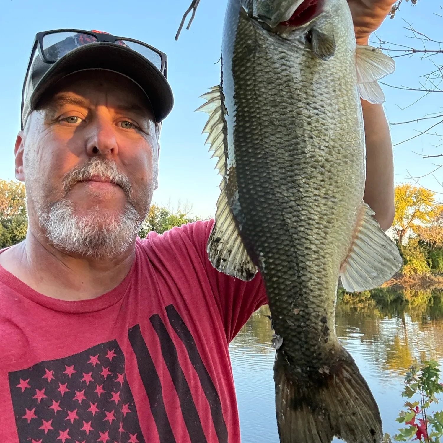 Largemouth bass caught on Fishbrain