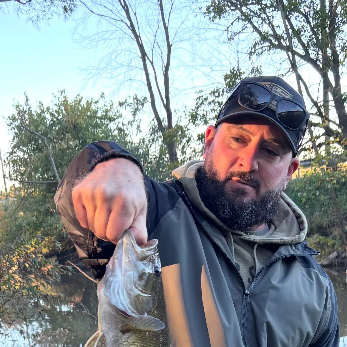 Smallmouth bass caught on Fishbrain