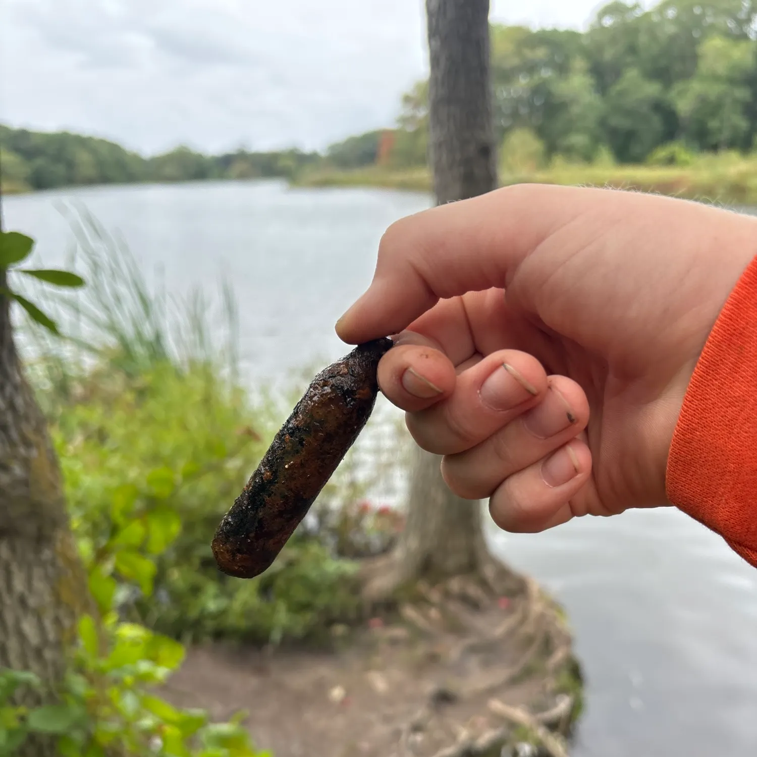 Fish caught on Fishbrain