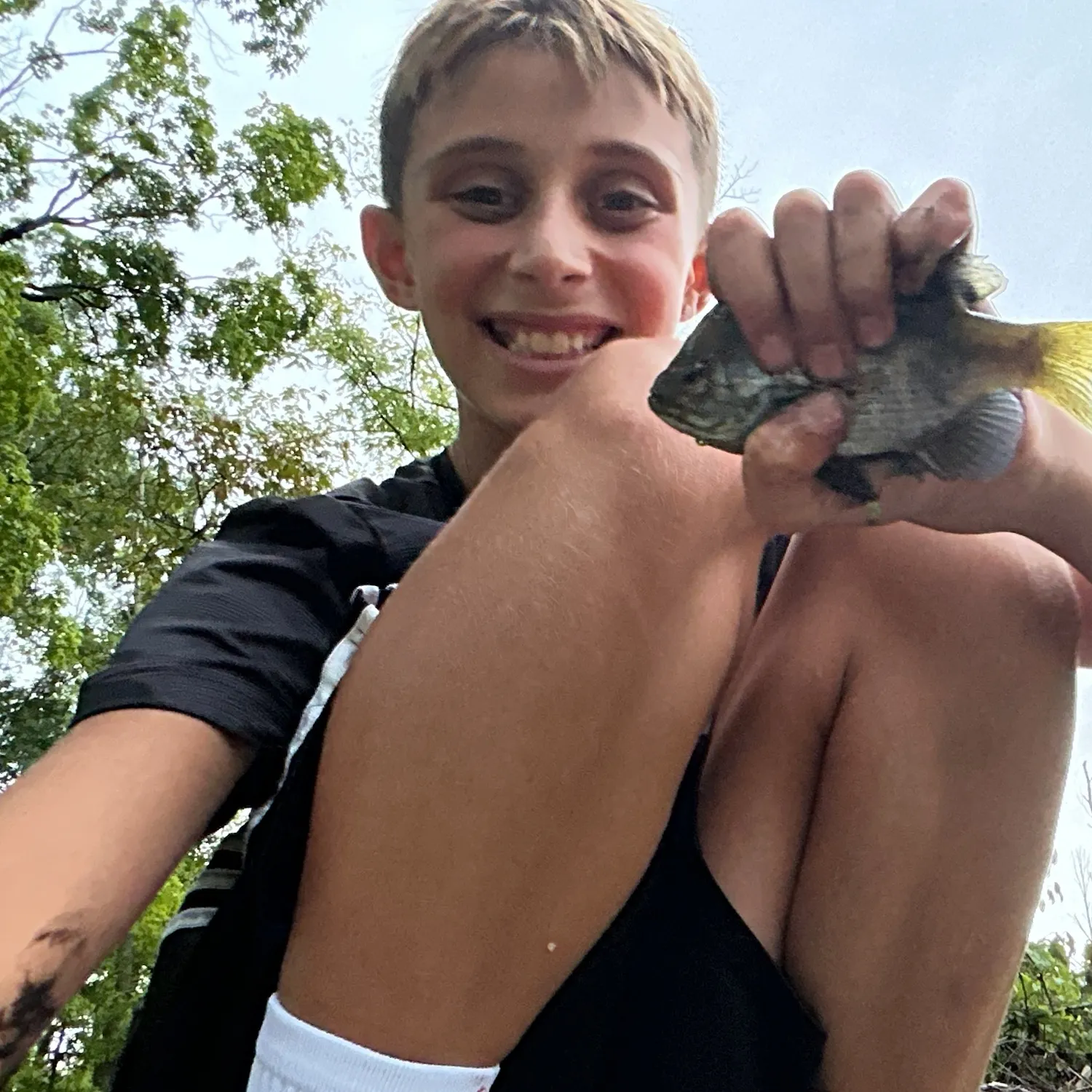 Bluegill caught on Fishbrain