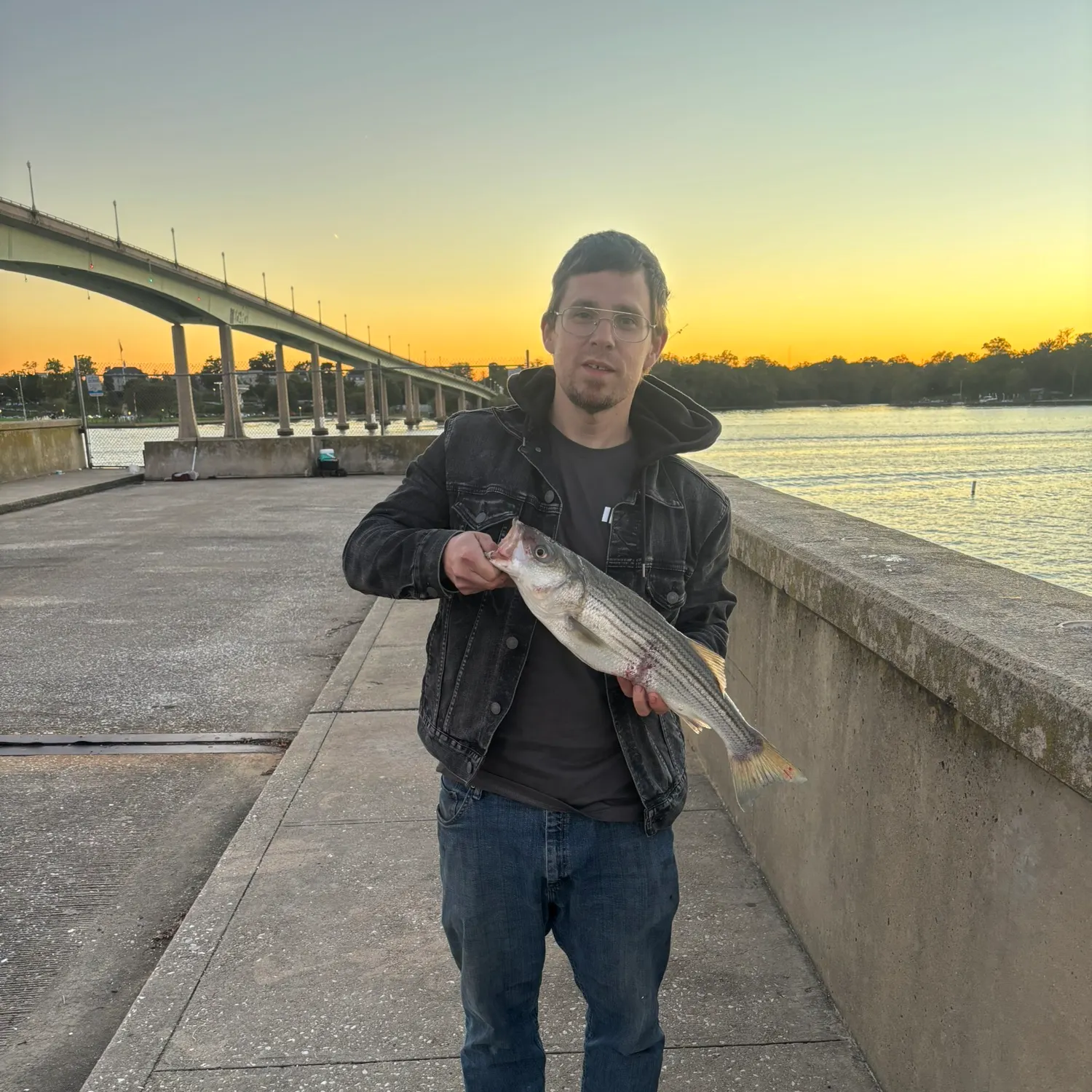 Striped bass caught on Fishbrain