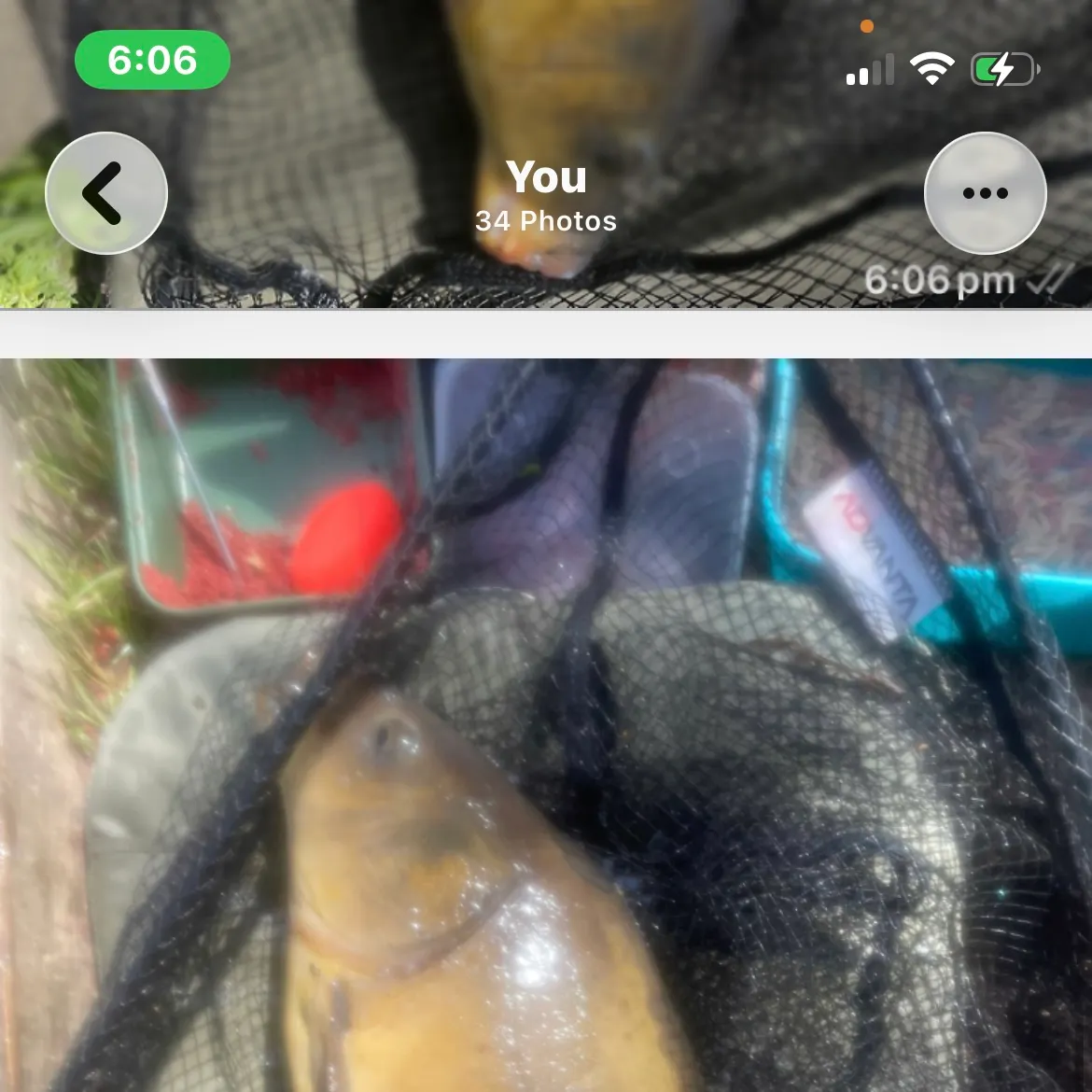 recently logged catches