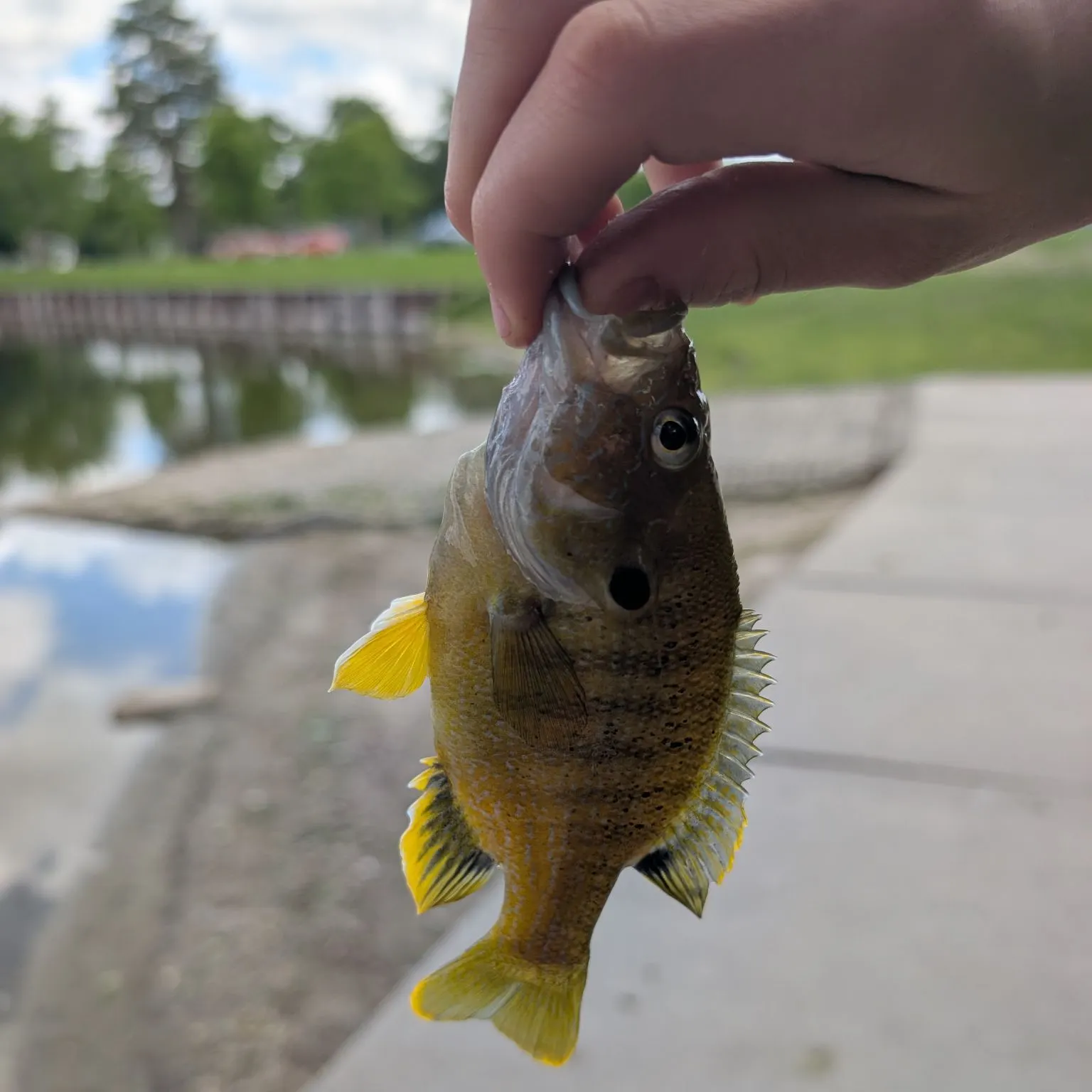 catch
