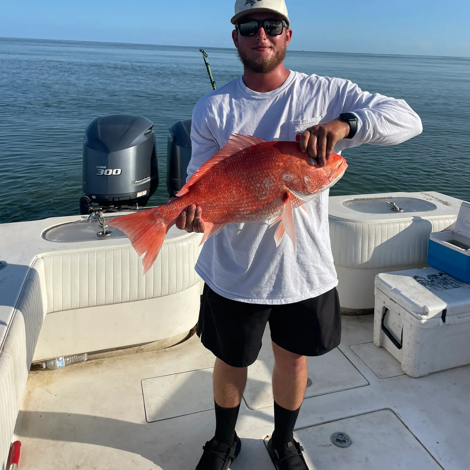 Northern red snapper caught on Fishbrain