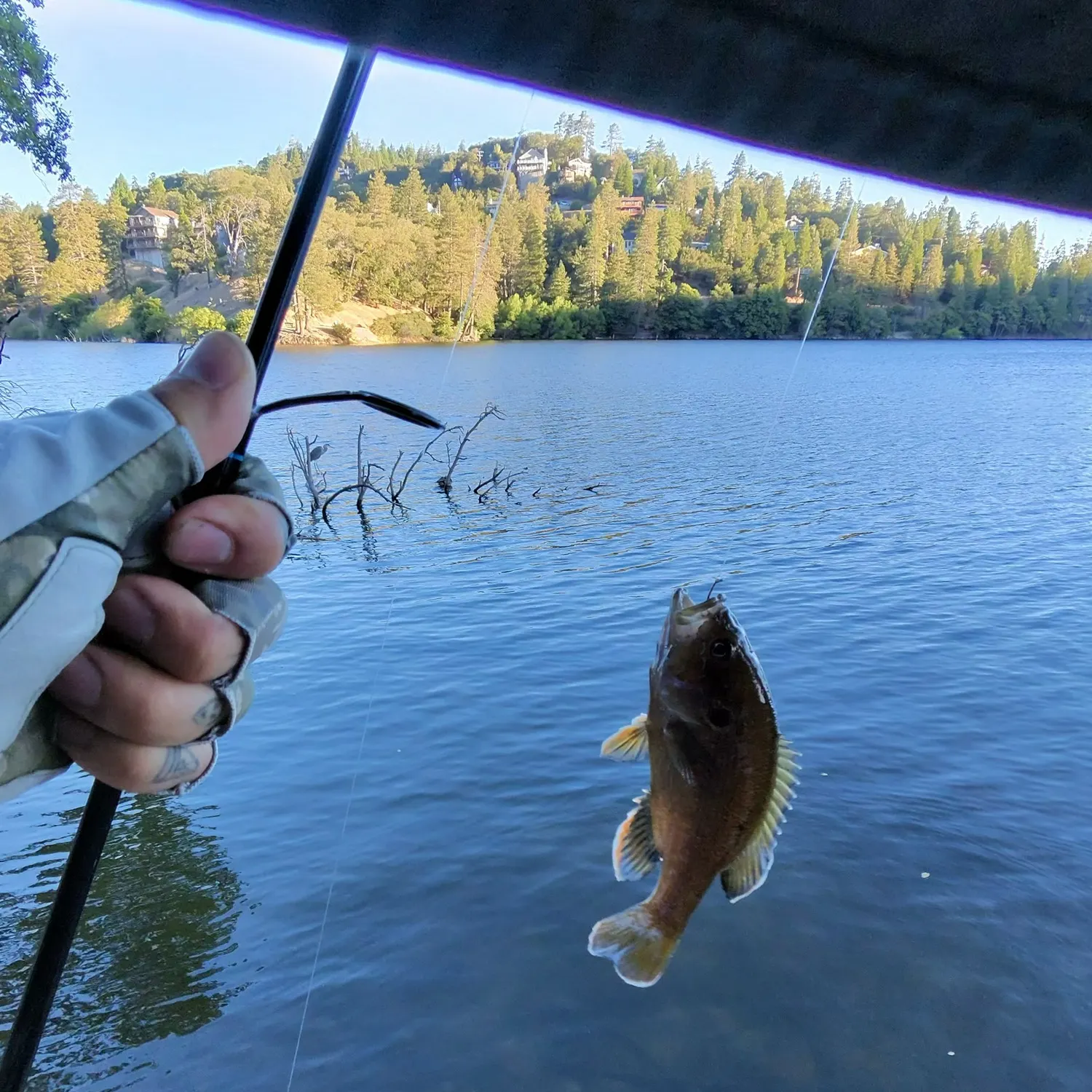 catch