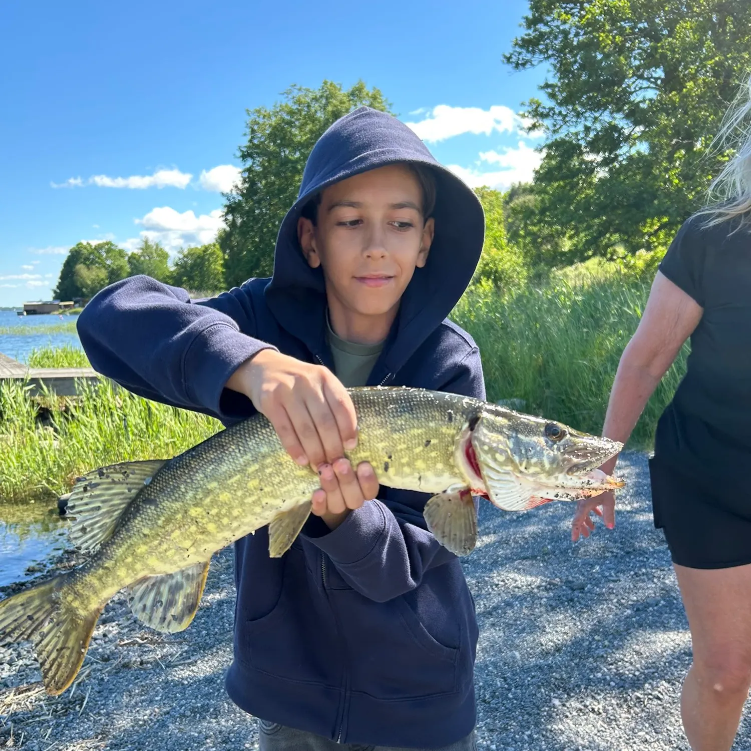 Northern pike caught on Fishbrain