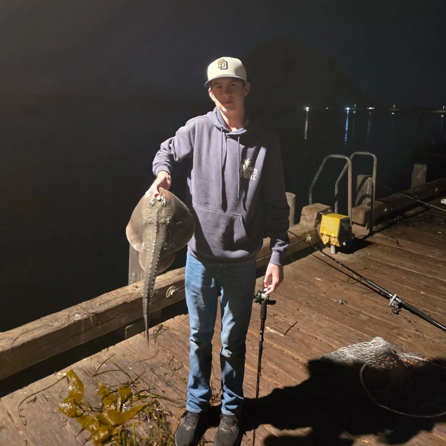 Thornback guitarfish caught on Fishbrain