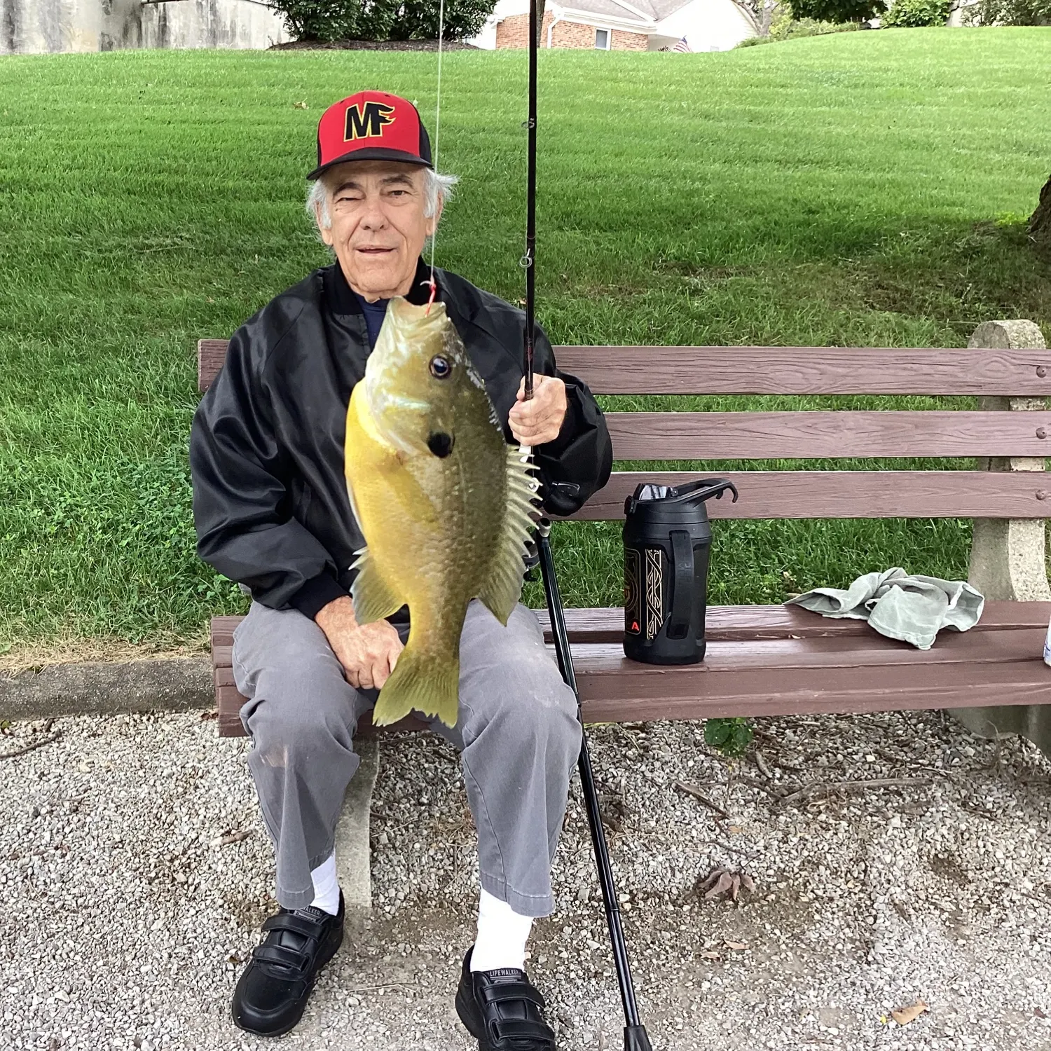 Bluegill caught on Fishbrain