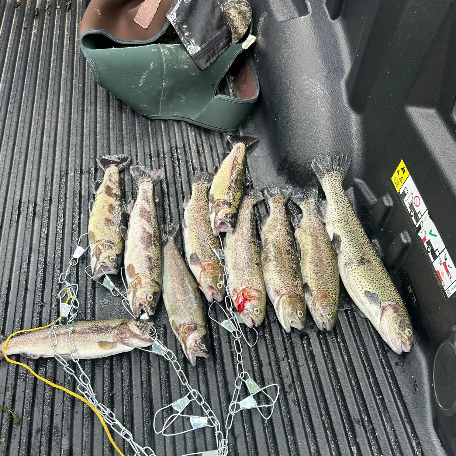 recently logged catches