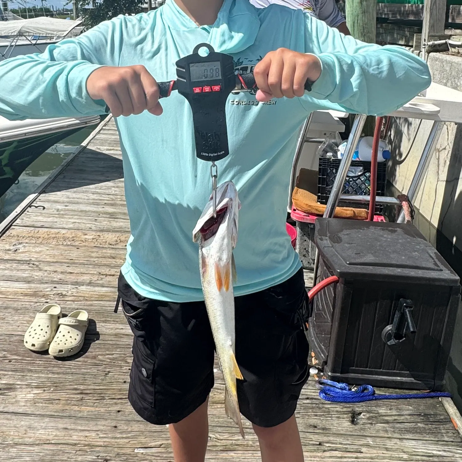 The most recent Gray weakfish catches on Fishbrain