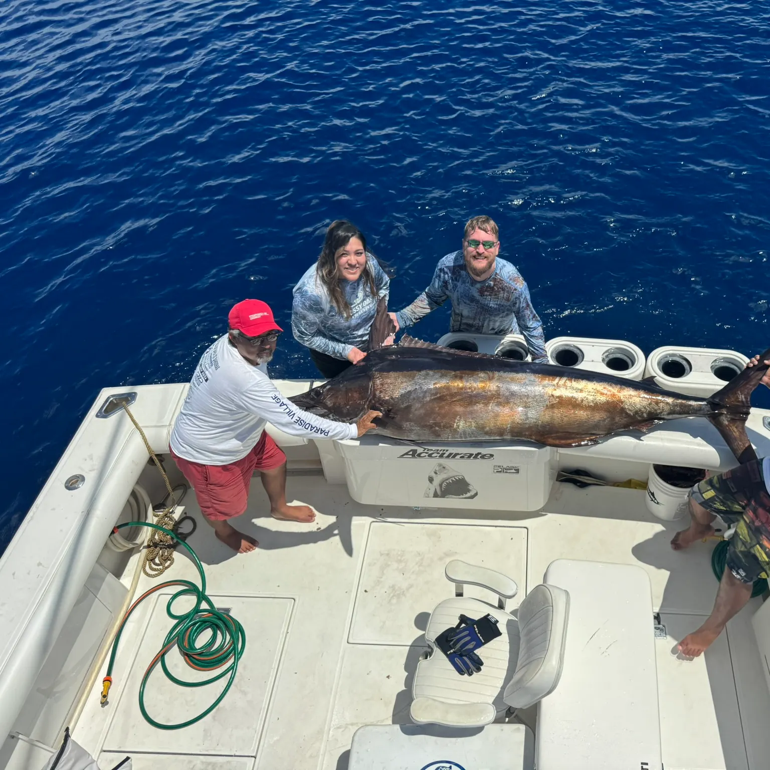 The most recent Black marlin catches on Fishbrain