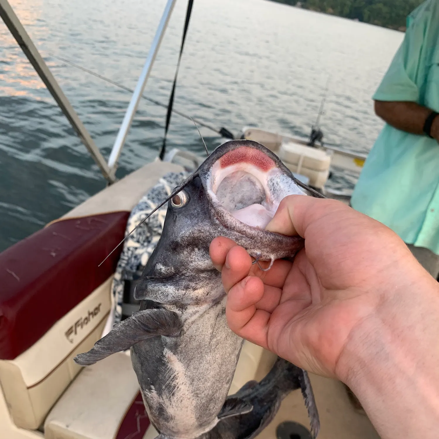 catch