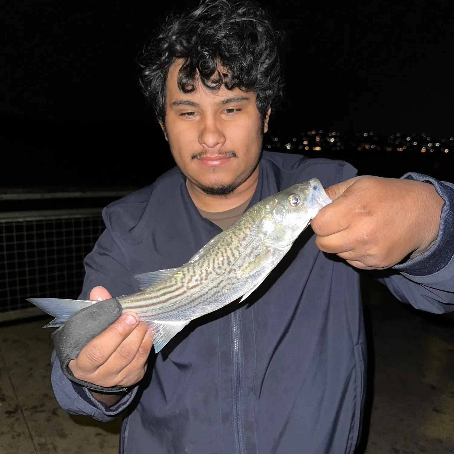 Striped bass caught on Fishbrain