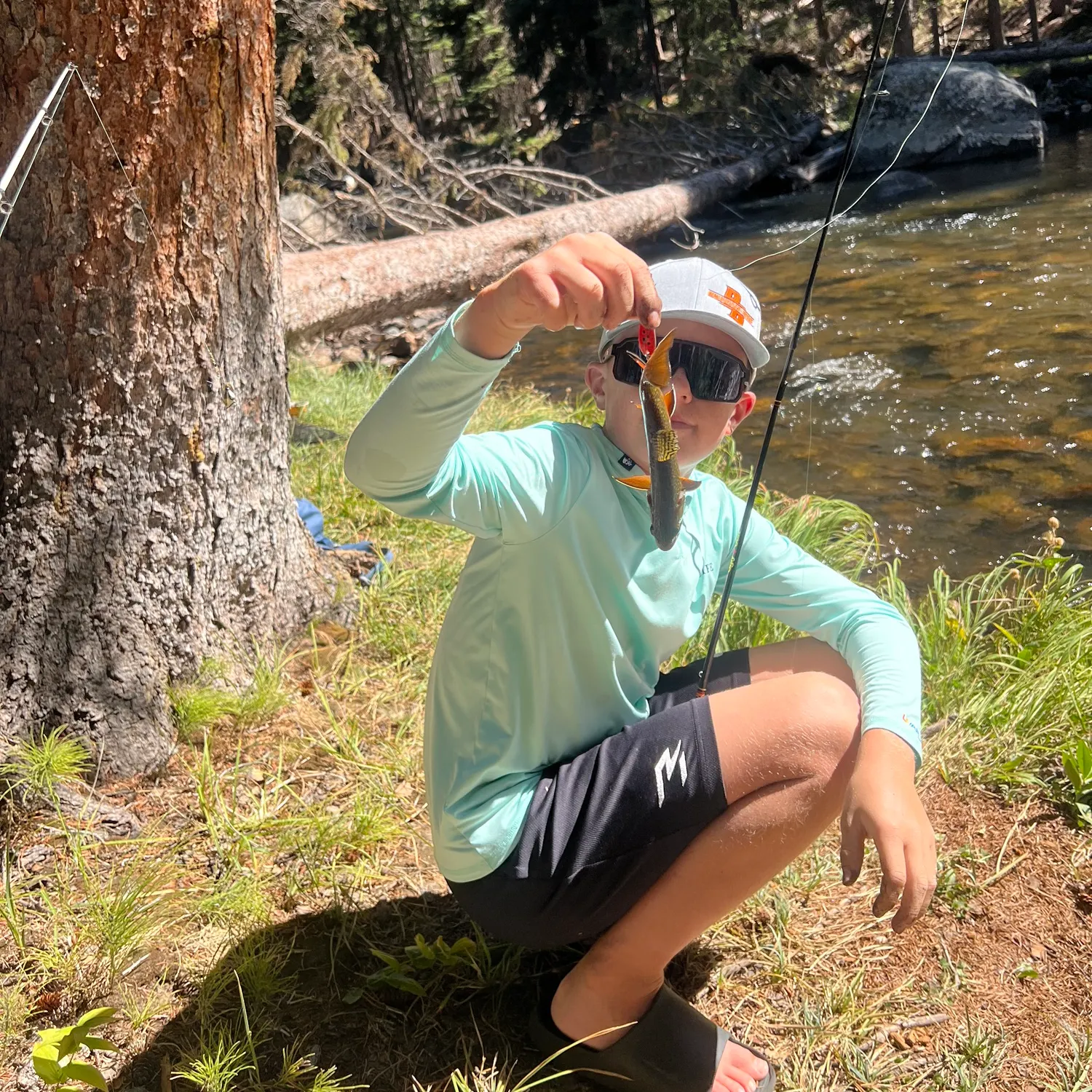 Brook trout caught on Fishbrain