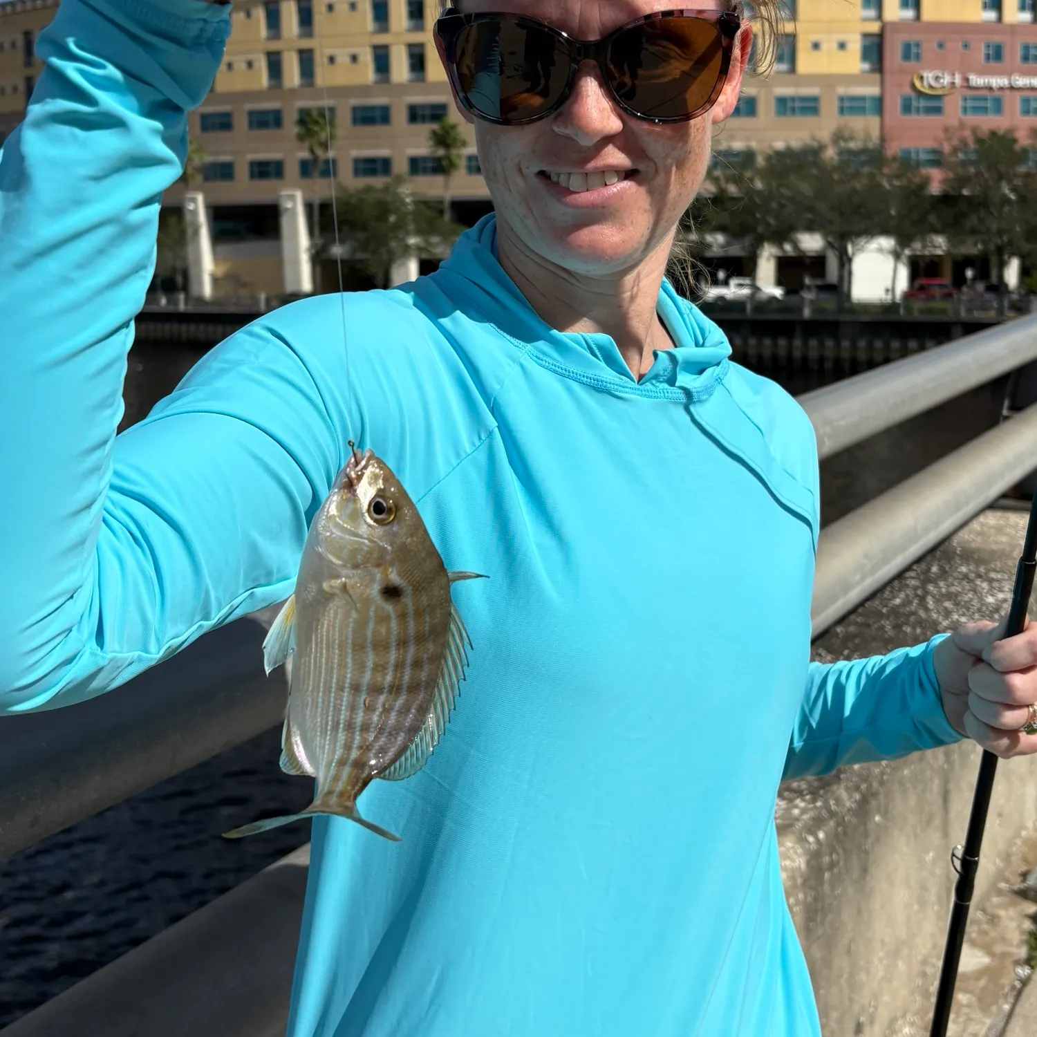 Pinfish caught on Fishbrain